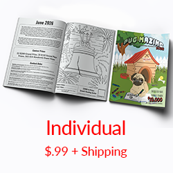 Individual Book + Shipping